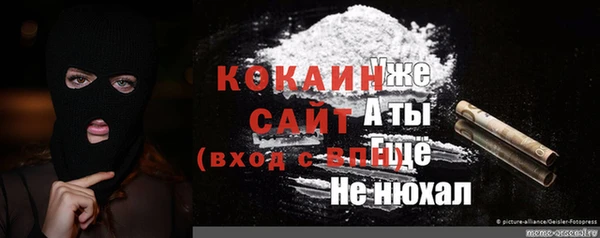 сатива Богданович