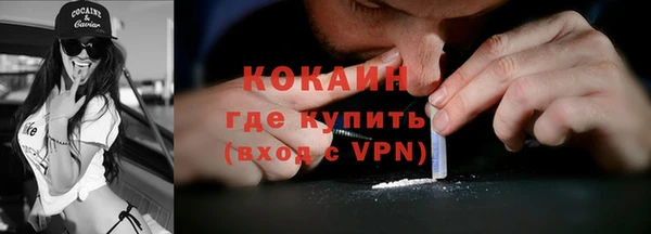 сатива Богданович