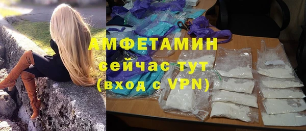 сатива Богданович